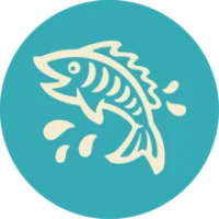 Shells Seafood Restaurant Logo