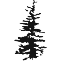 Silver Pine Wealth Logo