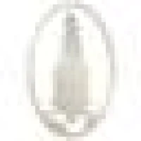 Silver Pine Wealth Logo