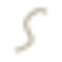 Singita Logo
