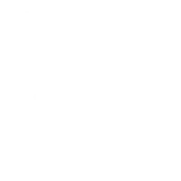 Southern Brewing Company Logo