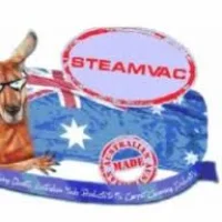 SteamVac Logo
