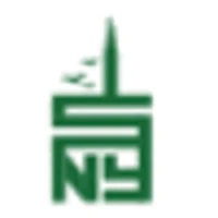 Streets of New York Logo
