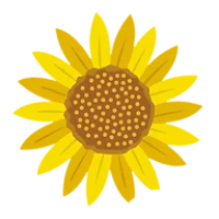 Sunflower Cafe Logo