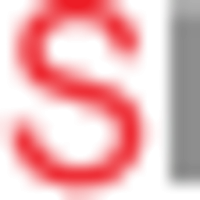 SynapseIndia Logo