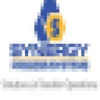 Synergy Pune Advisors Logo