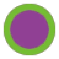 TallyFi Logo