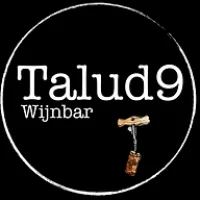 Talud9 Logo
