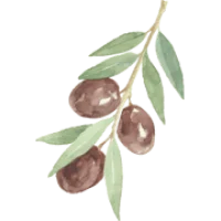 Taverna Agora Logo