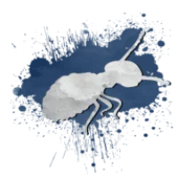 Termite Solutions Logo