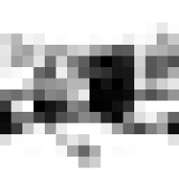 The Steamie Logo