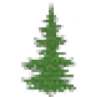 Top Notch Tree Service Logo