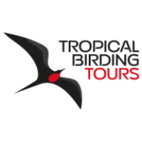 Tropical Birding Logo