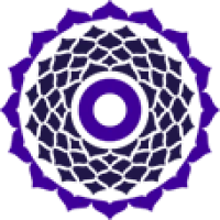 True Wealth Ventures Logo