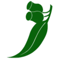 Urban Tree Care Logo