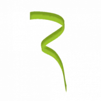 Van Ree Accountants Logo