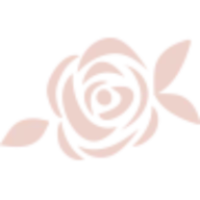 Vanilla Pastry Studio Logo