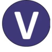 Vector IT Solutions Logo