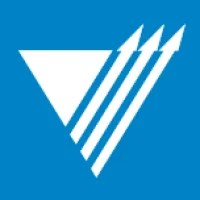 Vector Marketing Logo