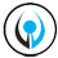 Vinyl Visions Logo