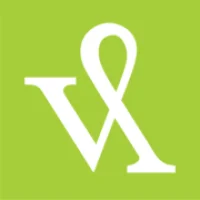 Visible Logic Logo