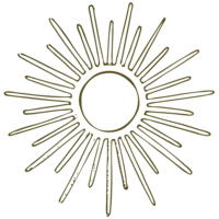 Vivid Occasions Logo