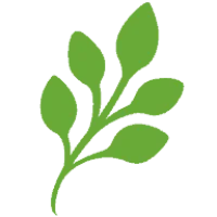 Wealthstream Advisors Logo