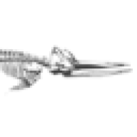 Whalesbone Oyster House Logo
