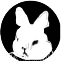 White Rabbit Logo