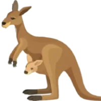 Wildlife Tours Logo