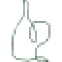 Wines of While Logo