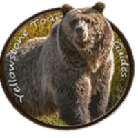Yellowstone Tour Guides Logo